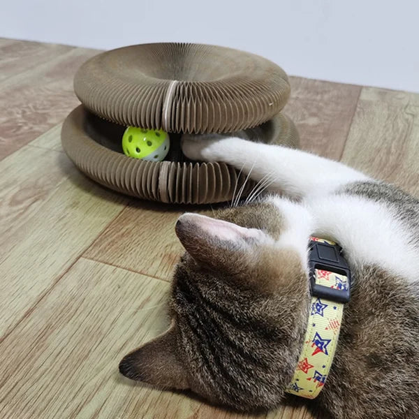 Magic Organ Cat Scratching Board with a Toy Bell Ball