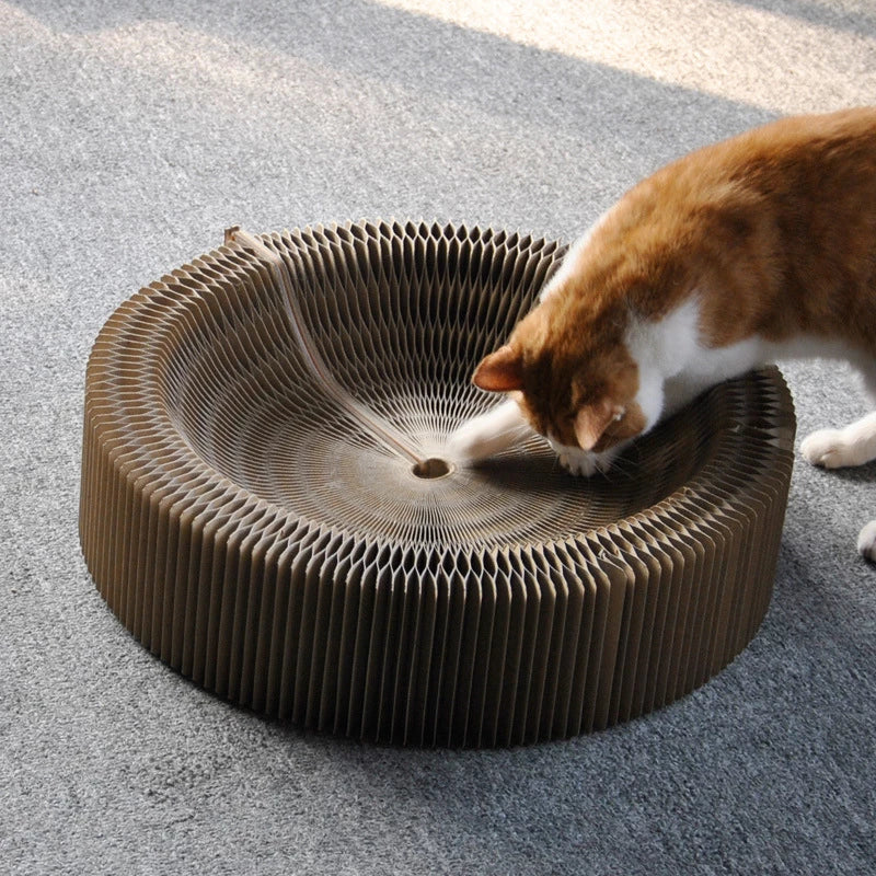 Magic Organ Cat Scratching Board with a Toy Bell Ball