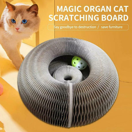 Magic Organ Cat Scratching Board with a Toy Bell Ball